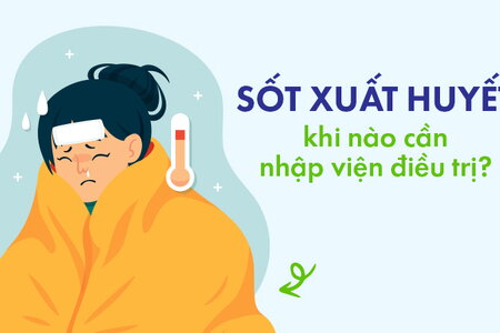 Giải đáp nhanh: Sốt xuất huyết khi nào cần nhập viện điều trị?