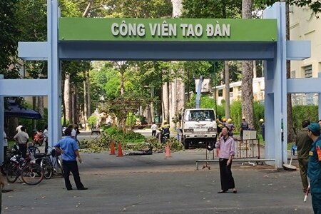 TP Hồ Chí Minh: Hai người tử vong do nhánh cây rơi trúng