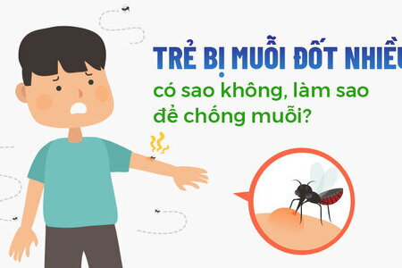 Trẻ bị muỗi đốt nhiều có sao không, làm sao để chống muỗi?