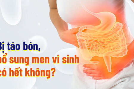 Bị táo bón, bổ sung men vi sinh có hết không?