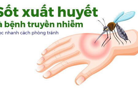 Sốt xuất huyết là bệnh truyền nhiễm: Học nhanh cách phòng tránh