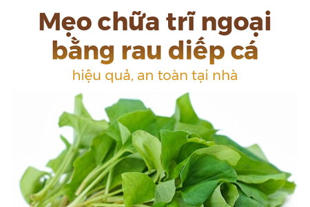 Mẹo chữa trĩ ngoại bằng rau diếp cá hiệu quả, an toàn tại nhà