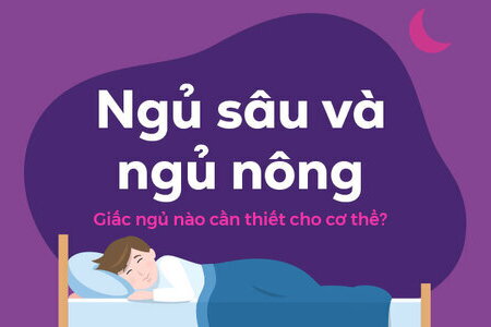 Ngủ sâu và ngủ nông: Giấc ngủ nào cần thiết cho cơ thể?