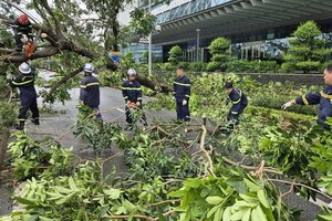 Bí thư Thành ủy Hà Nội chỉ đạo khắc phục hậu quả mưa bão