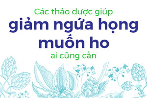 Các thảo dược giúp giảm ngứa họng muốn ho ai cũng cần