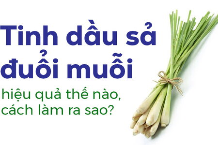 Tinh dầu sả đuổi muỗi hiệu quả thế nào, cách làm ra sao?