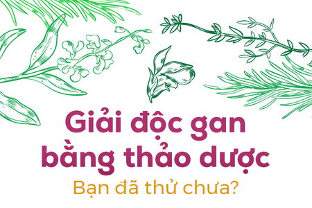 Giải độc gan bằng thảo dược: Bạn đã thử chưa?