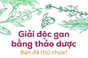 Giải độc gan bằng thảo dược: Bạn đã thử chưa?