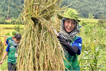 Hoa hậu Bảo Ngọc gặt lúa, lội bùn hỗ trợ bà con dựng nhà sau lũ