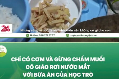 VTV24 phản hồi về phóng sự "Bữa cơm trắng với gừng" ở Yên Bái gây xôn xao