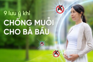 9 lưu ý khi chống muỗi cho bà bầu