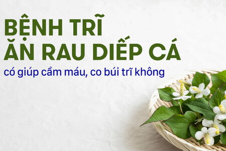 Bệnh trĩ ăn rau diếp cá có giúp cầm máu, co búi trĩ không?