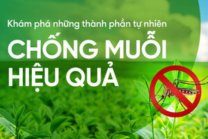 Khám phá những thành phần tự nhiên chống muỗi hiệu quả