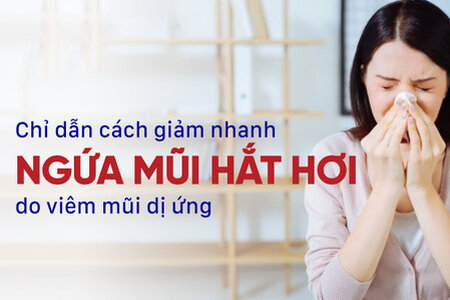 Chỉ dẫn cách giảm nhanh ngứa mũi hắt hơi do viêm mũi dị ứng 