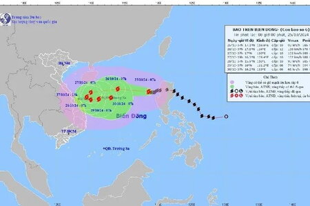 Bão số 6 giật cấp 12, biển động dữ dội