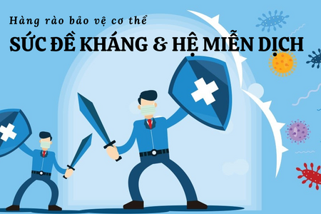 Cách tăng sức đề kháng và hệ miễn dịch: Hàng rào bảo vệ cơ thể