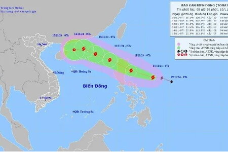 Bão số 8 mạnh cấp 10, giật cấp 12 biển động mạnh