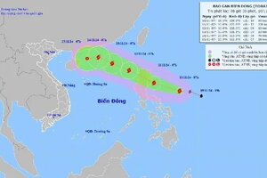 Bão số 8 mạnh cấp 10, giật cấp 12 biển động mạnh