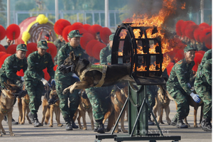 Lịch mở cửa và thời gian được vào xem Triển lãm quốc phòng Việt Nam 2024