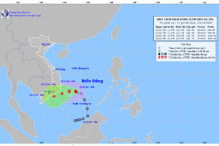 Chủ động ứng phó với bão số 10