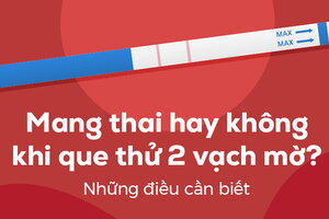 Mang thai hay không khi que thử 2 vạch mờ? Những điều cần biết