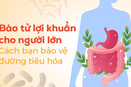 Bào tử lợi khuẩn cho người lớn: Cách bạn bảo vệ đường tiêu hóa