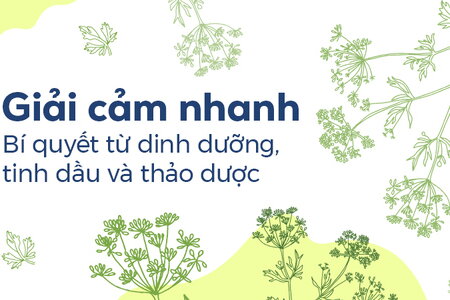 Giải cảm nhanh: Bí quyết từ dinh dưỡng, tinh dầu và thảo dược