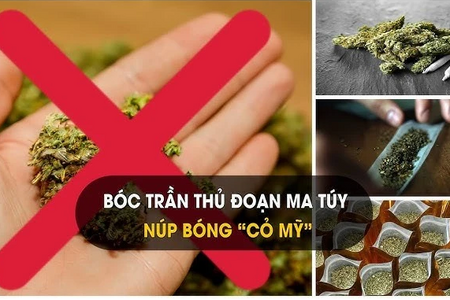 Khởi tố 2 học sinh ở Thanh Hoá liên quan đến ‘cỏ Mỹ’