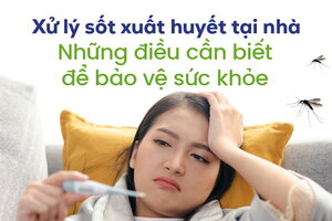 Xử lý sốt xuất huyết tại nhà: Những điều cần biết để bảo vệ sức khỏe