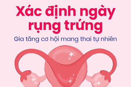 Xác định ngày rụng trứng – Gia tăng cơ hội mang thai tự nhiên