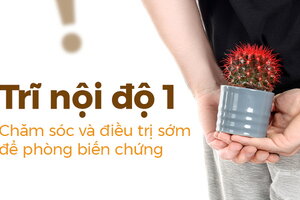Trĩ nội độ 1 – Chăm sóc và điều trị sớm để phòng biến chứng