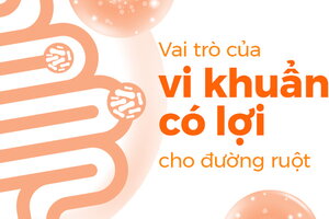 Vai trò của vi khuẩn có lợi cho đường ruột