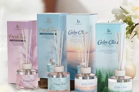 Lanux: Khi hương thơm trở thành liệu pháp cảm xúc trong cuộc sống hiện đại