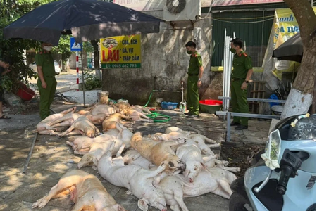 Phát hiện hơn 1 tấn thịt lợn ‘bẩn’ chuẩn bị đưa vào bếp ăn công nhân