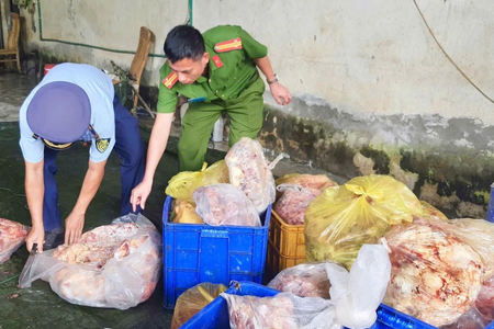 Xử phạt chủ kho hàng chứa gần 4 tấn gà đông lạnh bốc mùi ở Hà Giang
