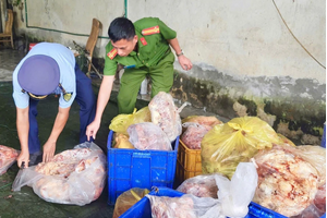 Xử phạt chủ kho hàng chứa gần 4 tấn gà đông lạnh bốc mùi ở Hà Giang