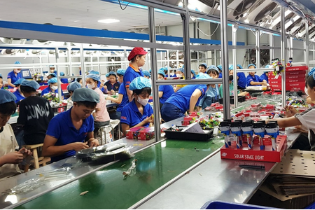 Xóa thuế khoán, doanh nghiệp cần lưu ý gì?