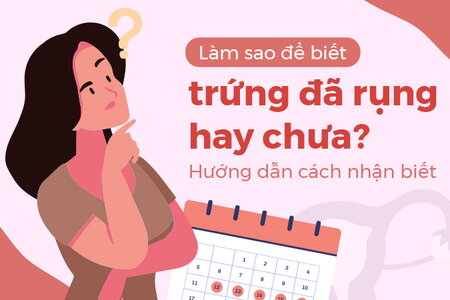 Làm sao để biết trứng đã rụng hay chưa? Hướng dẫn cách nhận biết