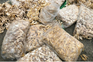 Bắt giữ hơn 1 tấn chân gà, trứng gà non không nguồn gốc ở Quảng Ninh