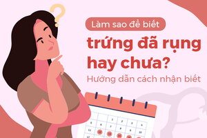 Làm sao để biết trứng đã rụng hay chưa? Hướng dẫn cách nhận biết