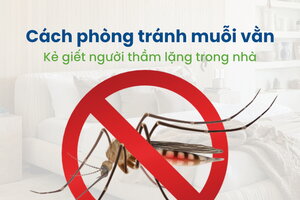 Cách phòng tránh muỗi vằn – Kẻ giết người thầm lặng trong nhà