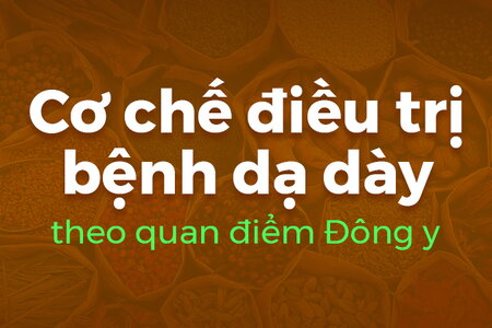 Cơ chế điều trị bệnh dạ dày theo quan điểm Đông y