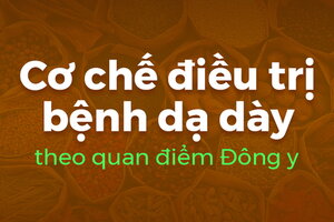 Cơ chế điều trị bệnh dạ dày theo quan điểm Đông y