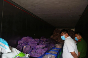 Phát hiện hơn 11 tấn thực phẩm đông lạnh không rõ nguồn gốc
