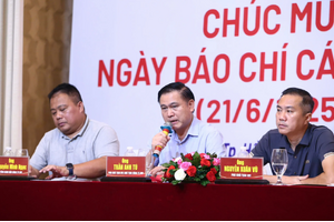Phó Chủ tịch VFF 