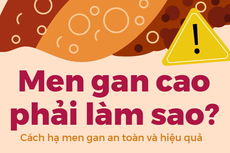 Men gan cao phải làm sao? Cách hạ men gan an toàn và hiệu quả