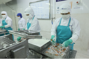 Hơn 152,7 nghìn doanh nghiệp thành lập mới và trở lại hoạt động bán niên 2025