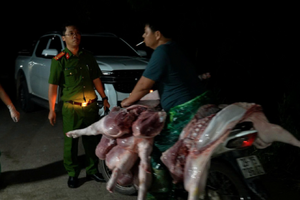 Triệt phá đường dây giết mổ, tiêu thụ thịt lợn nhiễm dịch tả lợn châu Phi