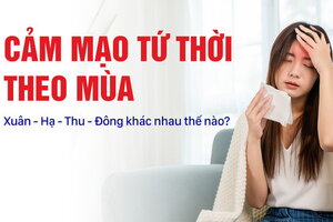 Cảm mạo tứ thời theo mùa Xuân – Hạ – Thu – Đông khác nhau thế nào?