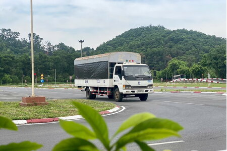 Từ 14/7, việc cập nhật giấy phép lái xe trên VNeID được diễn ra nhanh chóng